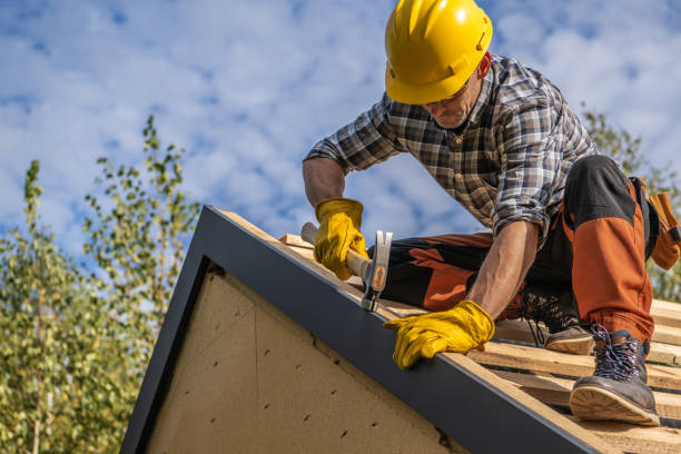 Best Roof Ventilation Installation  in La Plata, NM